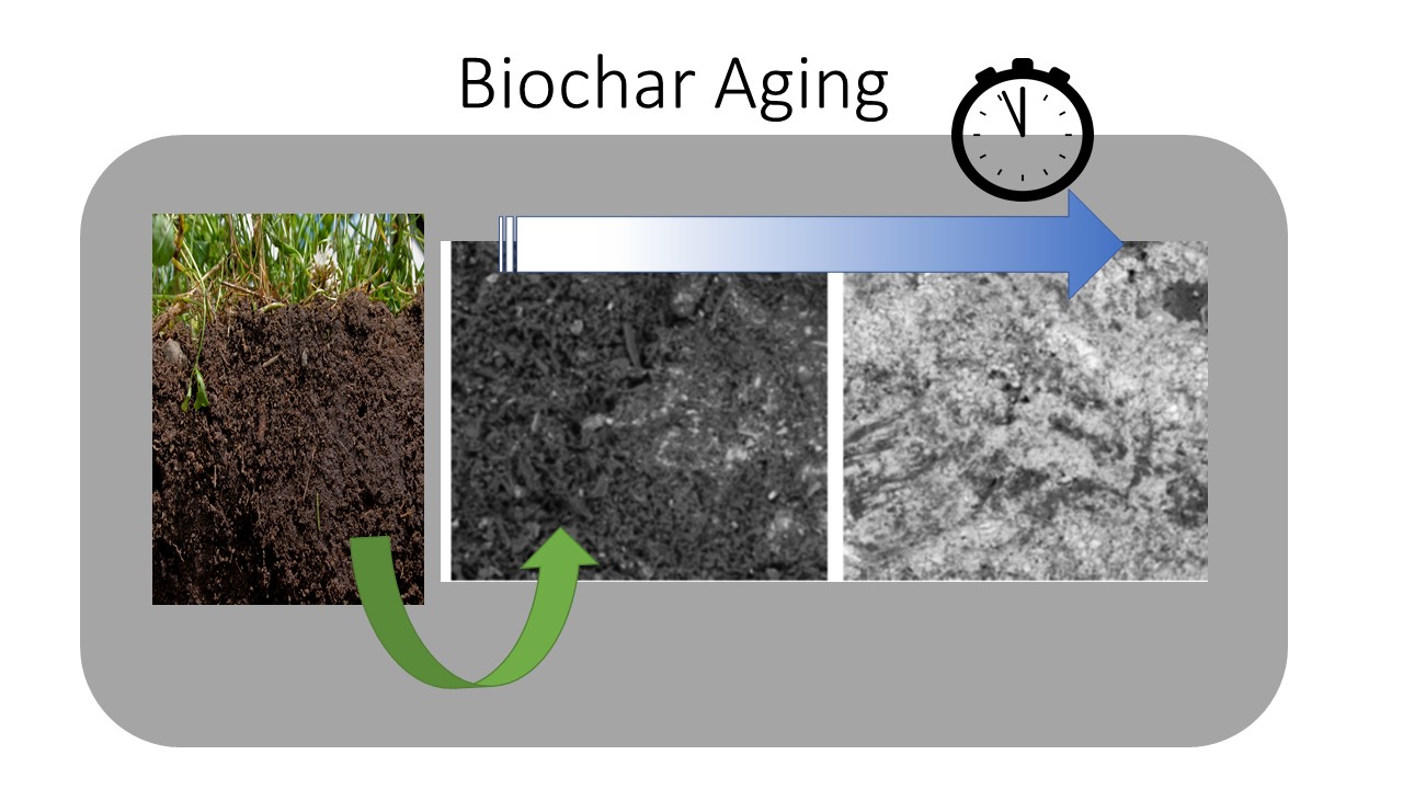 生物炭土壤老化