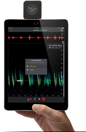 Echo Meter Touch Bat Detector (app)