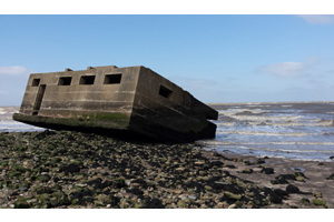 CITiZAN (Coastal and Intertidal Zone Archaeological Network)