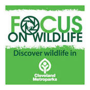 Focus on Wildlife - Cleveland Metroparks