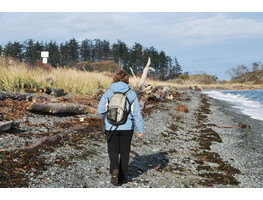 British Columbia Beached Bird Survey