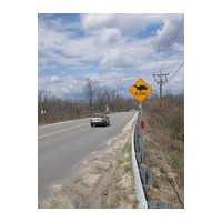 Massachusetts Statewide Roadkill Database