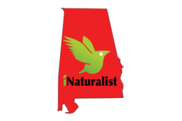 Biodiversity of Alabama