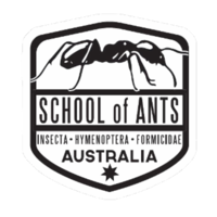 Logo of School of Ants