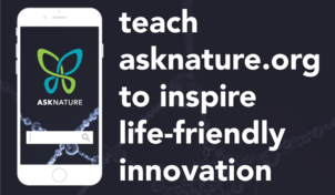 Logo of Teach asknature.org to identify causal relationships in nature