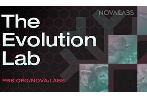 NOVA Evolution Lab
