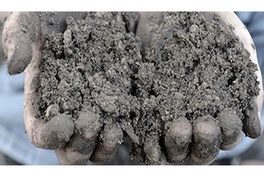 Drug discovery from your soil